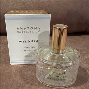 Wild Fig Anatomy of a Fragrance Eau De Parfum